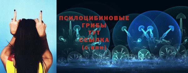 героин Каменка