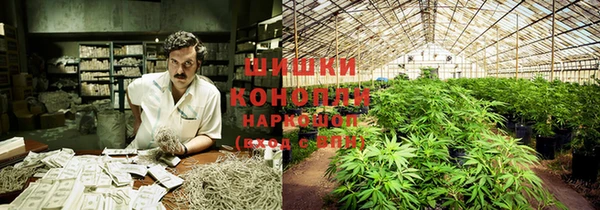 героин Каменка